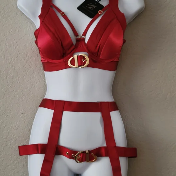 Honey Birdette Red Bra with Gold Accents - Picture 2 of 10